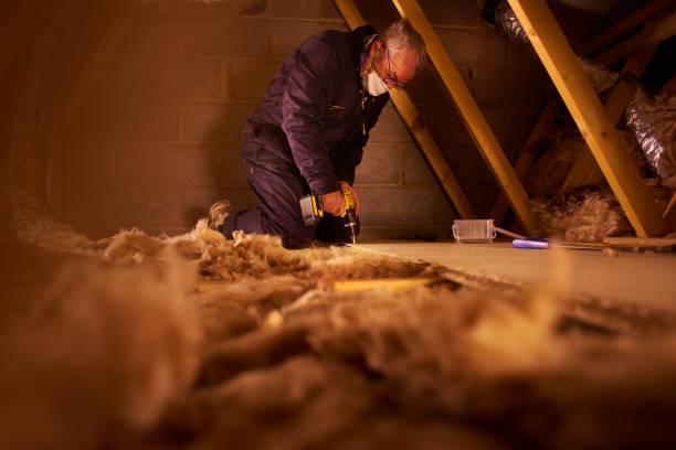 Best Insulation Maintenance and Repair in , MI