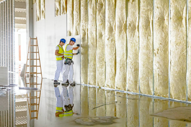 Best Residential Insulation in , MI